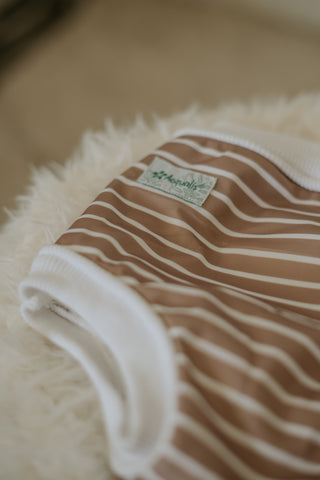 Culotte d'apprentissage